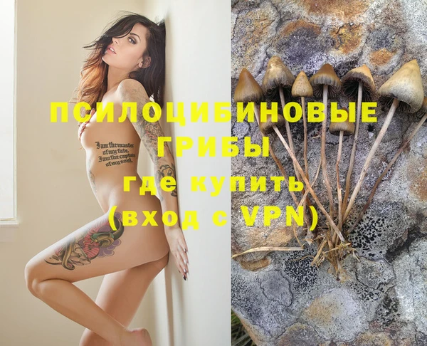 дмт Лиски