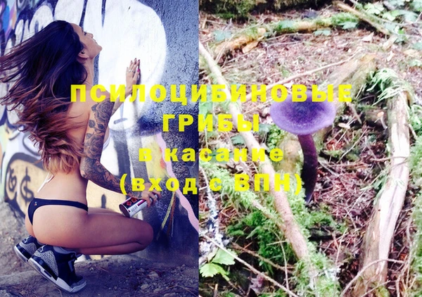 прущая мука Алзамай