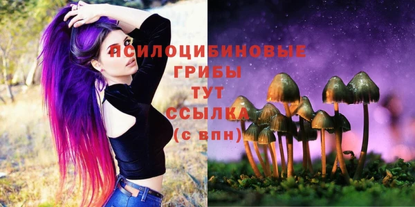 прущая мука Алзамай